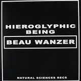 Beau Wanzer: 4 Dysfunctional Psychotic Release & Sonic Reprogramming Purposes Only