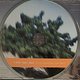 Various Artists: Bush Taxi Mali: Field Recordings From Mali