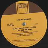 Stevie Wonder: Another Star