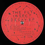 The Fly Insect: Decay