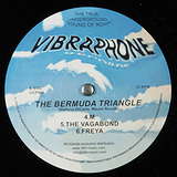 The Bermuda Triangle: The Bermuda Triangle