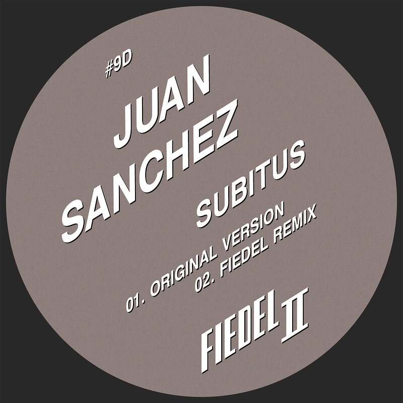 Juan Sanchez: Subitus