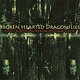 Brokenhearted Dragonflies: Insect Electronica from Southeast Asia