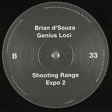 Brian d'Souza: Genius Loci