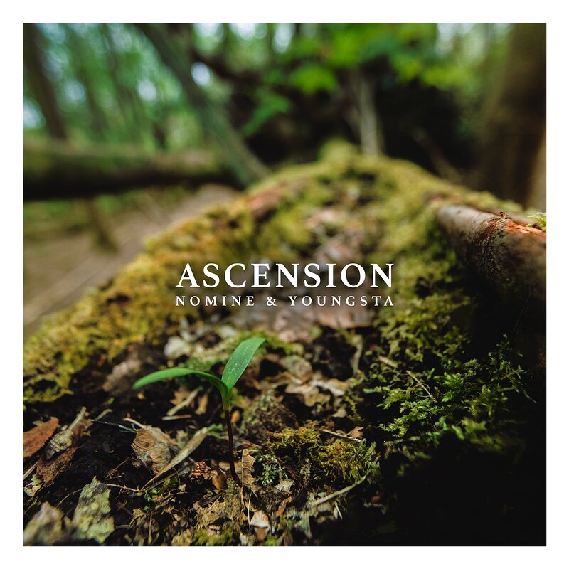 Nomine & Youngsta: Ascension