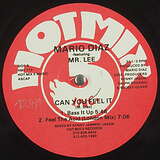 Mario Diaz feat. Mr. Lee: Can You Feel It