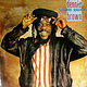 Dennis Brown: Slow Down