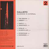 Callisto: Guidance Is Internal : Part 2