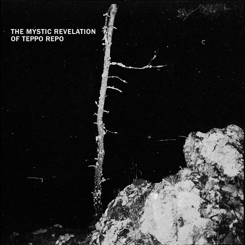 The Mystic Revelation of Teppo Repo: Kosmoksen Erakko