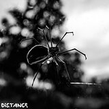 Cover art - Distance: Crawler