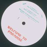 Various Artists: Welcome To Paradise 12"