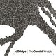 dBridge: The Gemini Principle