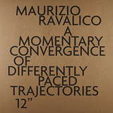 Maurizio Ravalico: A Momentary Convergence of Differently Paced Trajectories