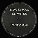Lowres: Rododendron