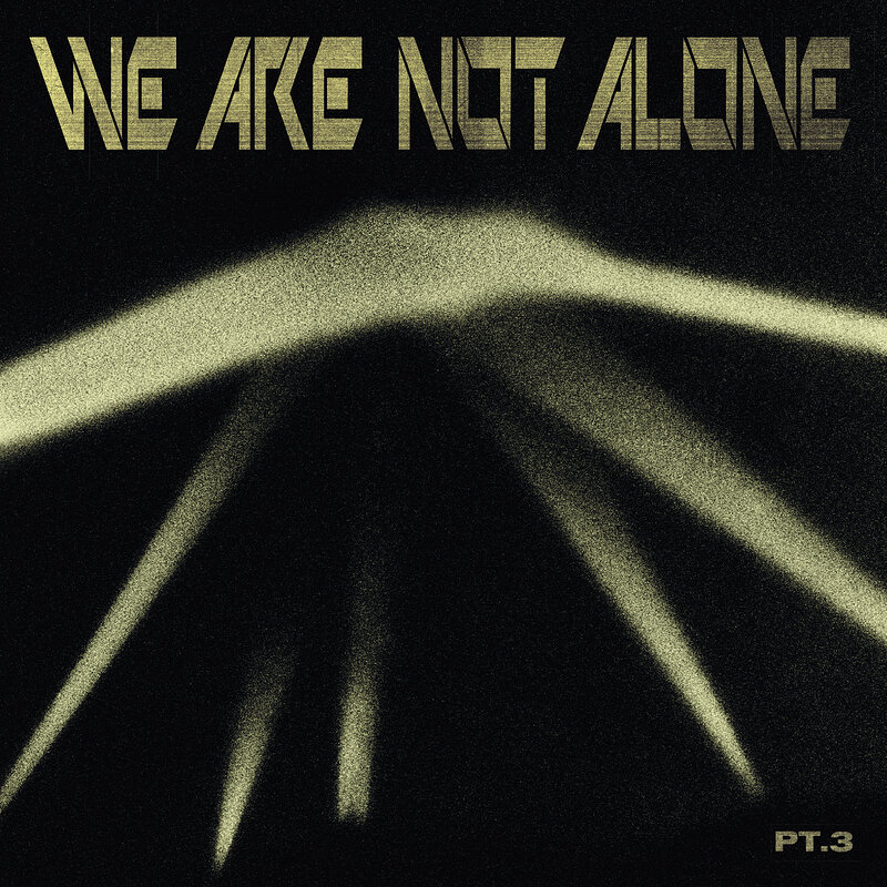 Various Artists: We Are Not Alone Pt. 3