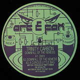 Trinity Carbon: Downfall Of The Nemesis