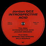 Jordan GCZ: Introspective Acid