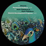 Steevio / Matt & Mark Thibideau: Permanent Culture