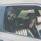 Overmono: Everything U Need