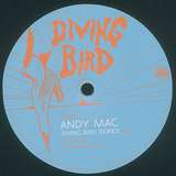 Andy Mac: Diving Bird 3