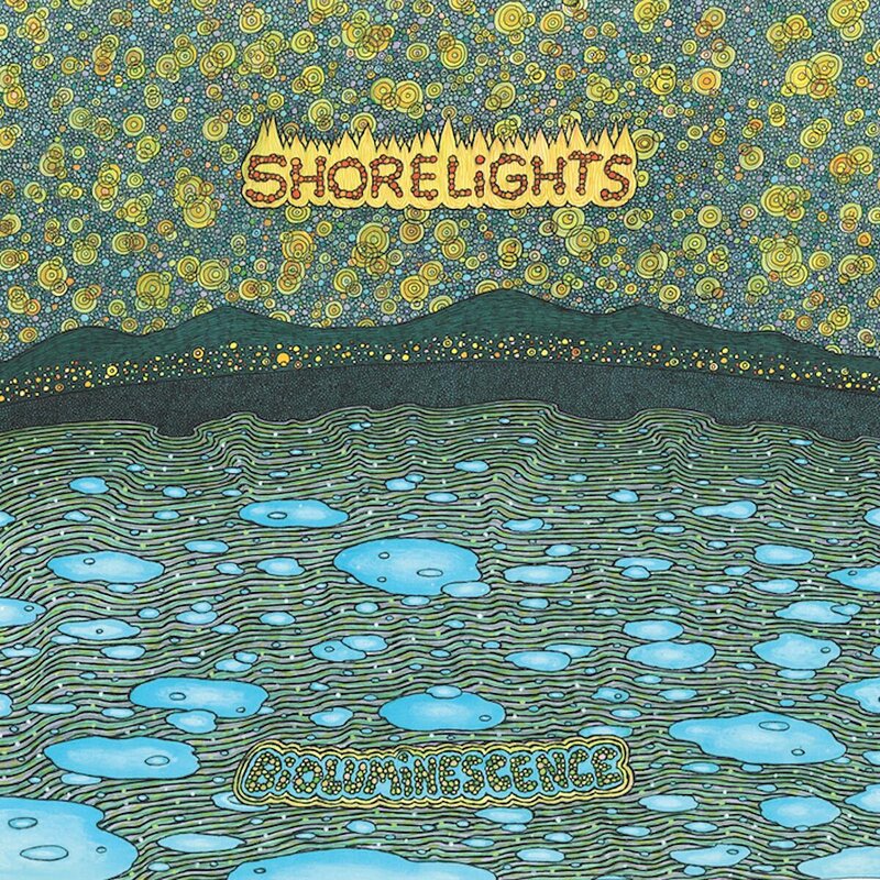 Shorelights: Bioluminescence