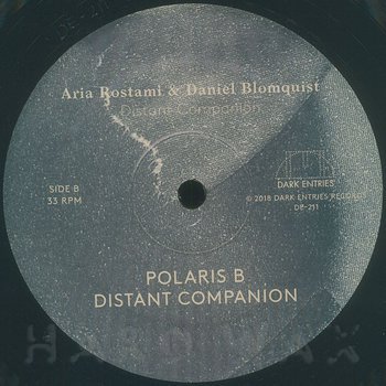Cover art - Aria Rostami & Daniel Blomquist: Distant Companion LP
