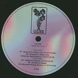 DJ Lily: Lilies 6