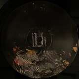 Böhm: Scientific Relevance