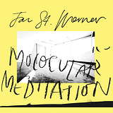 Jan St. Werner: Molocular Meditation