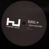 Burial: Rodent
