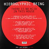 Hieroglyphic Being: There Is No Acid In This House