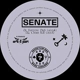 Cover art - Senate: Borrow Dub