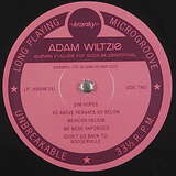 Adam Wiltzie: Eleven Fugues For Sodium Pentothal