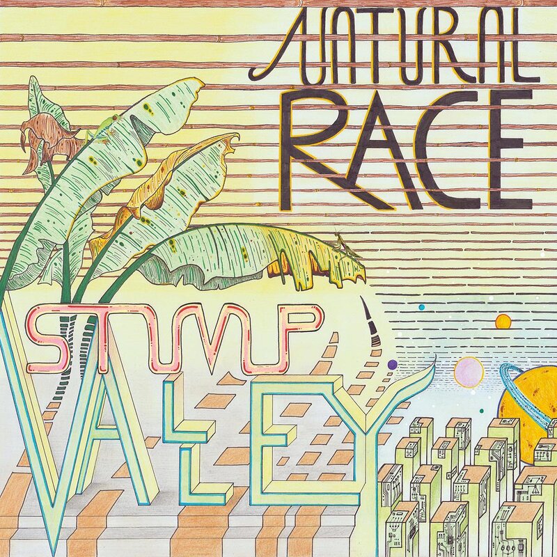 Stump Valley: Natural Race