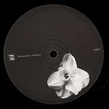 Kangding Ray / Rrose: Ardent / Swallows