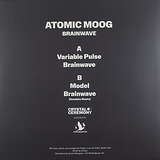 Atomic Moog: Brainwave