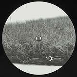 Alex Cortex: Laconic