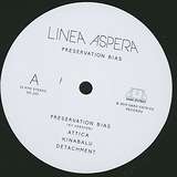 Linea Aspera: Preservation Bias