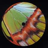 Pearson Sound: Robin Chasing Butterflies