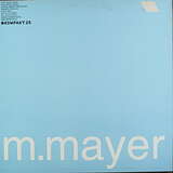 Michael Mayer: Pensum
