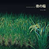 Reiko Kudo: Rice Field Silently Riping In The Night