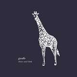 Giraffe: Shine and Dark