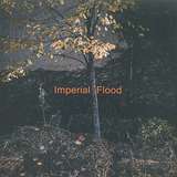 Logos: Imperial Flood