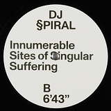 DJ Valentimes / DJ Spiral: Rebirth / Innumerable Sites of Singular Suffering