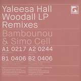 Yaleesa Hall: Woodall Remixes