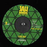Jah Warrior & The Dub Organiser: Level Headed