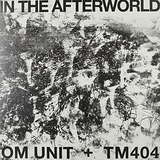 Om Unit & TM404: In The Afterworld