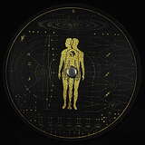 Vril: Krux