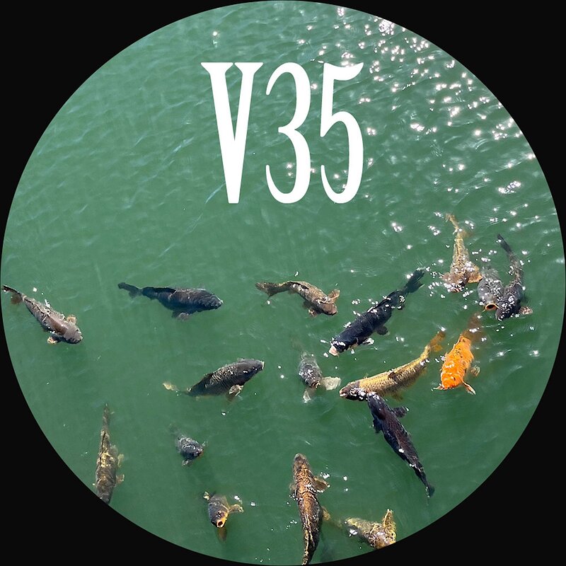 JSPRV35: Resort EP
