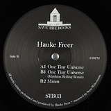 Hauke Freer: One Tiny Universe